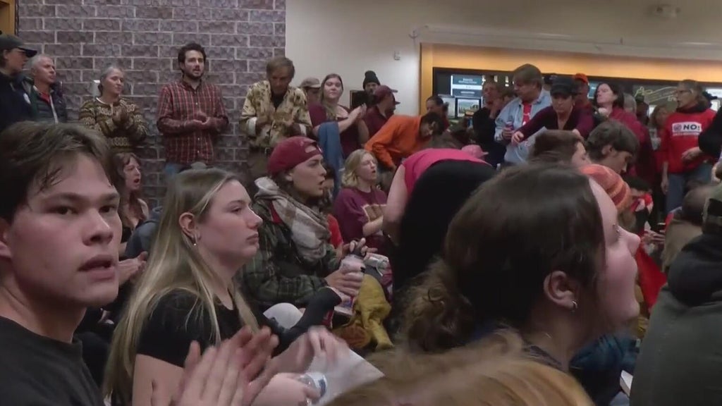 Hermantown City Council meeting with protesters holding signs
