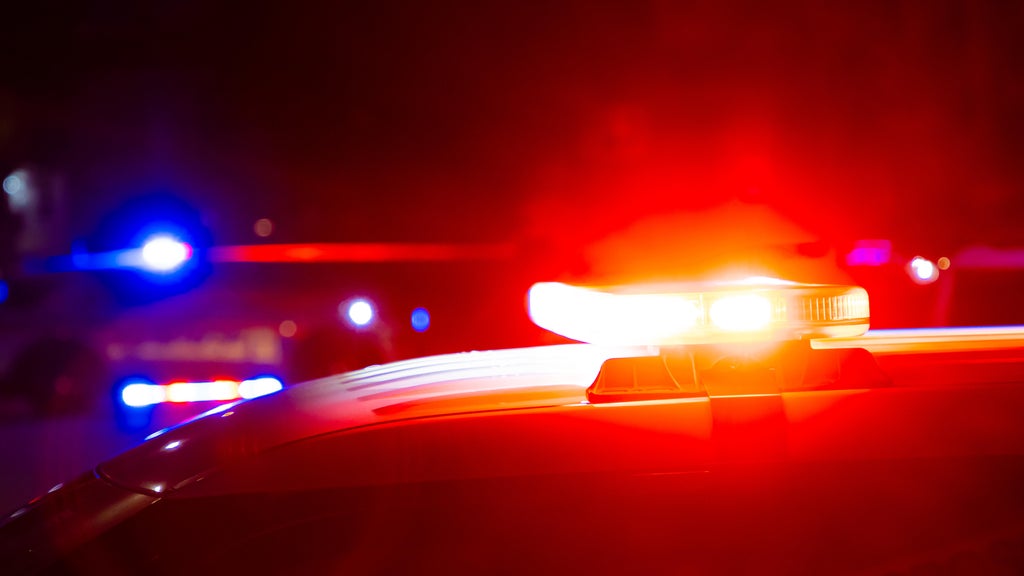 Driver killed in head-on collision with semi in central Minnesota — Woodbury Sports news