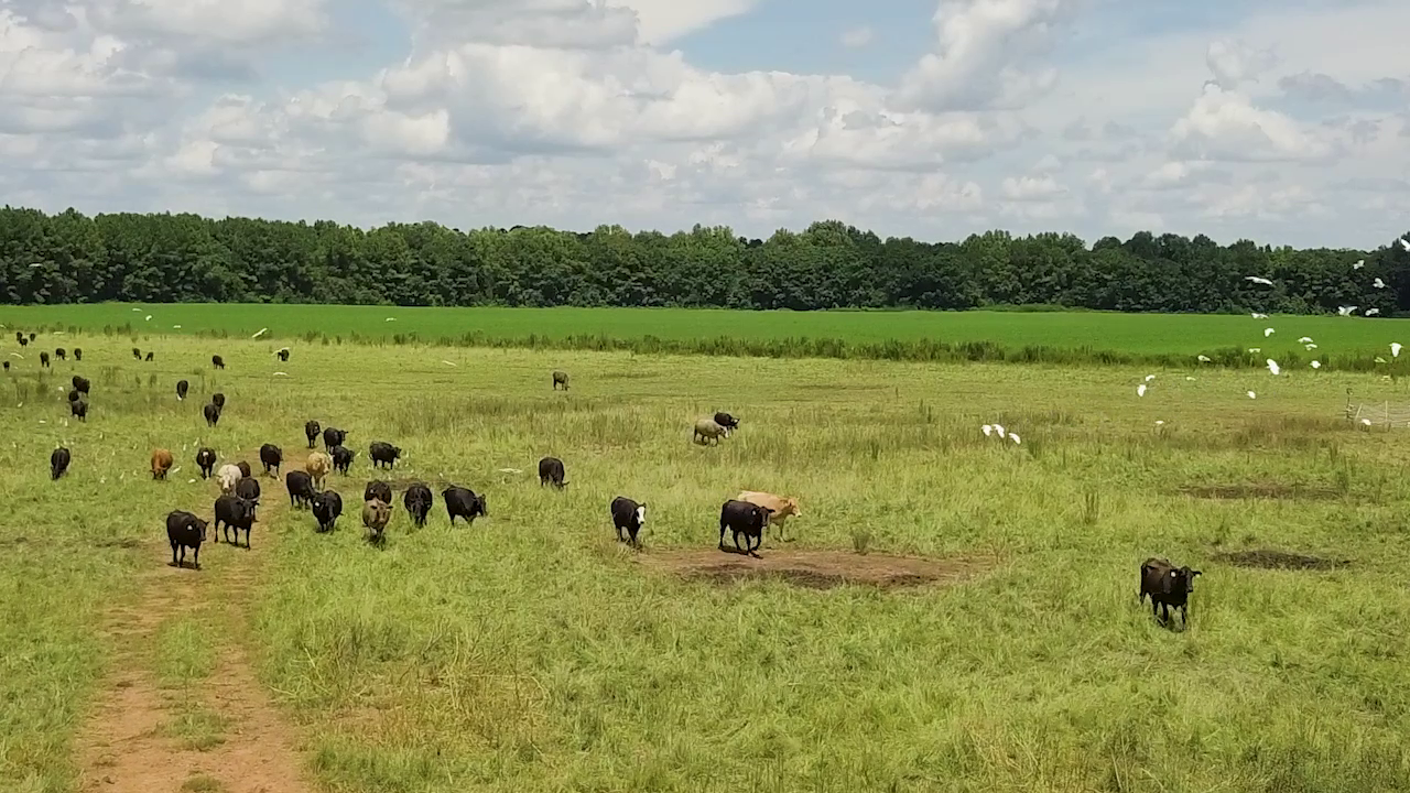 5 ON YOUR SIDE: Regenerative agriculture — Woodbury Health news