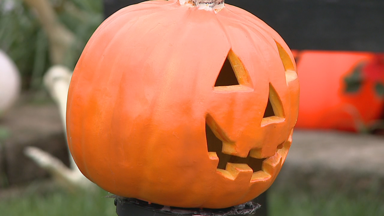 Things to do in Minnesota: 5 things to do this weekend (Oct. 30–Nov. 1) — Woodbury Community news